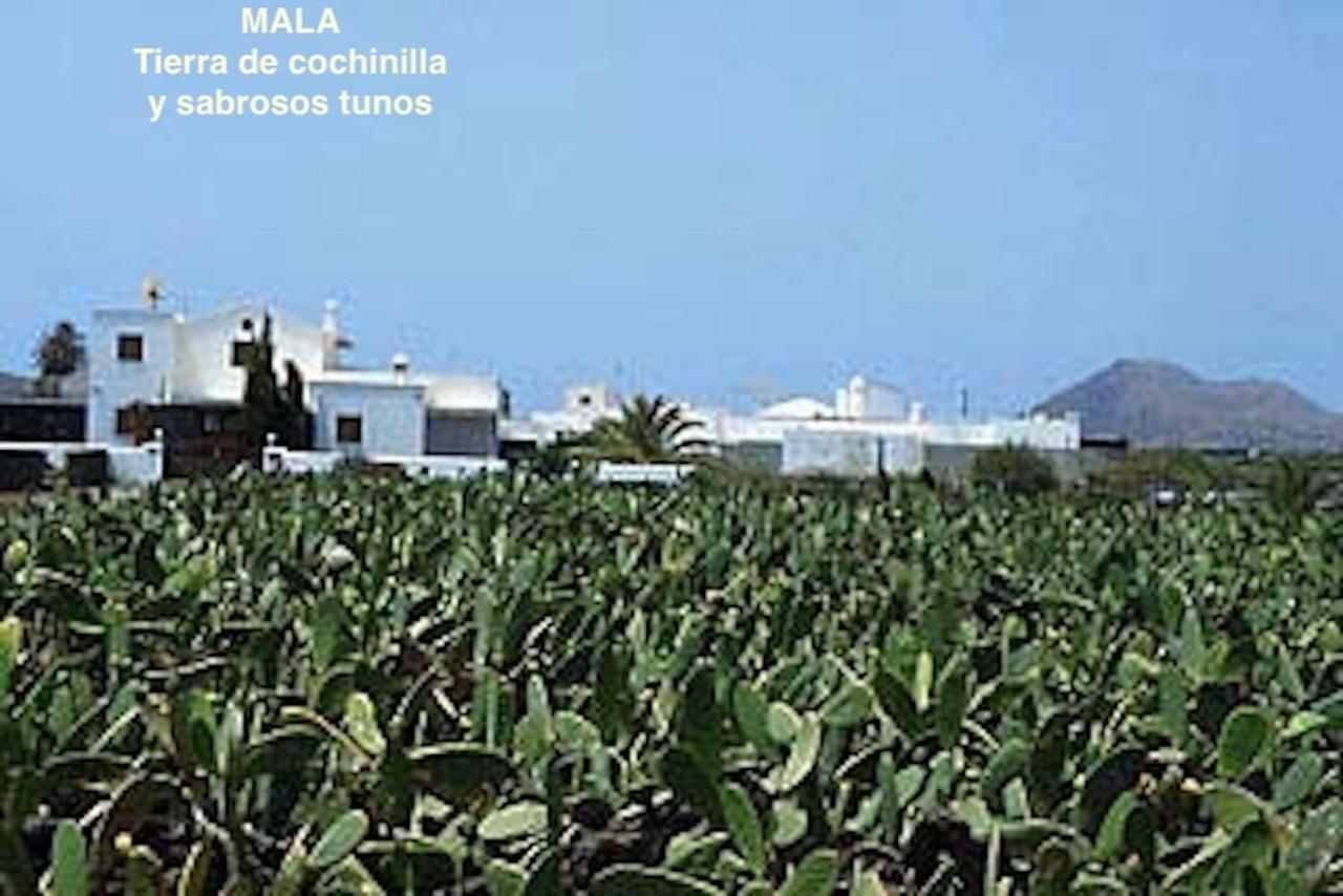 Casa "Gara" Mala-Lanzarote Norte Exteriör bild
